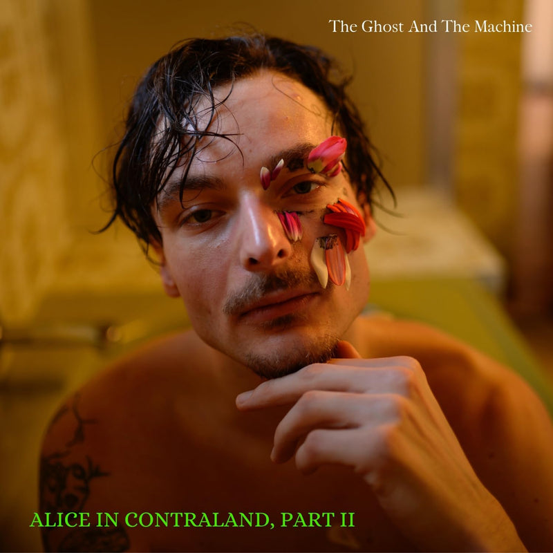 Alice In Contraland Part 2