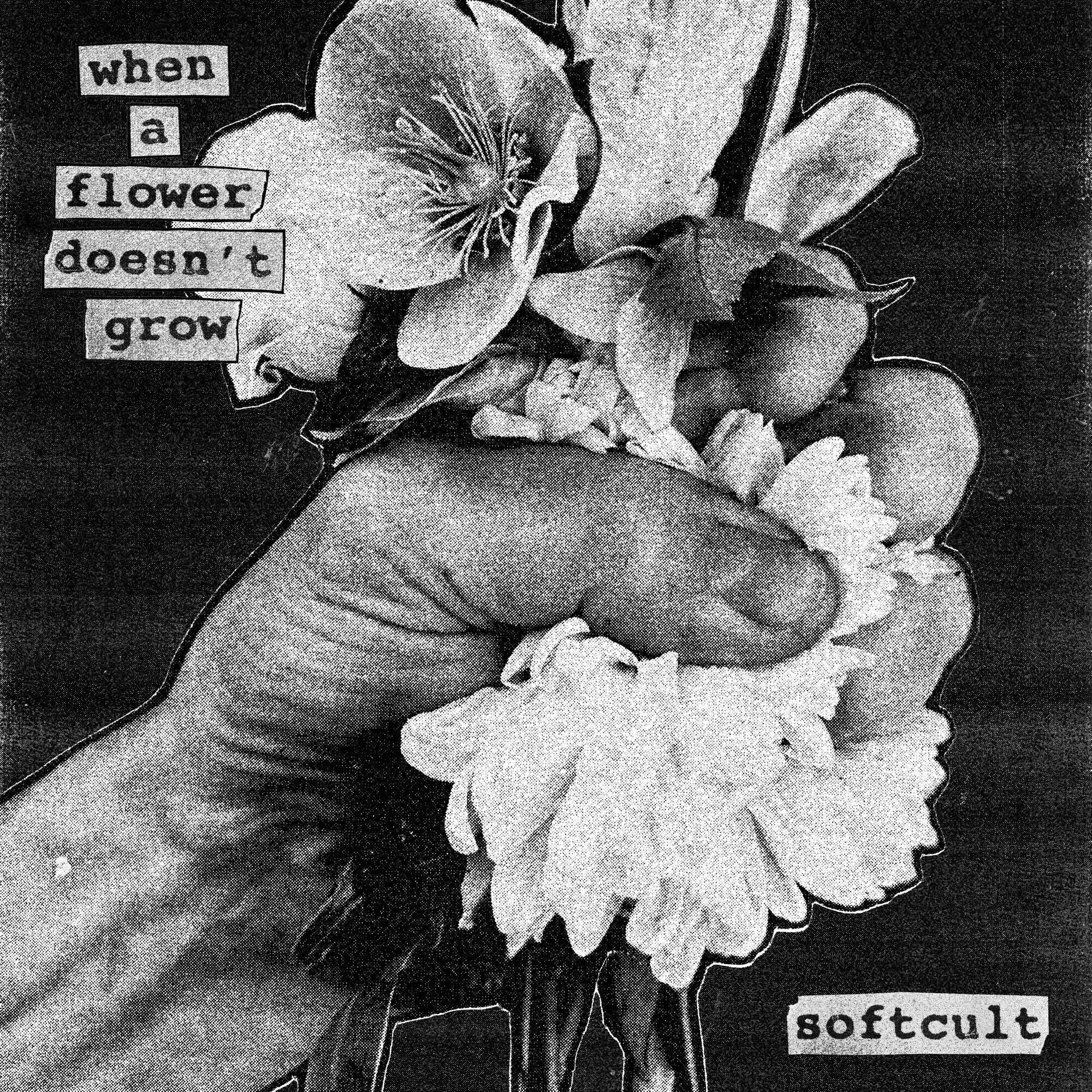 When a Flower Doesn't Grow