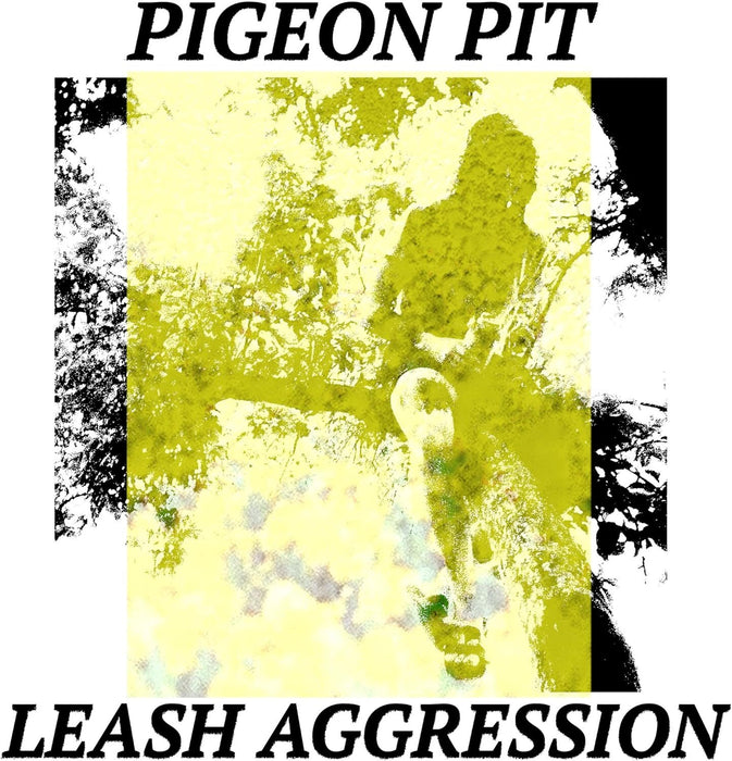 Leash Aggression