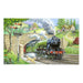 The House of Puzzles - Train Spotting Jigsaw - Big 250 Piece Jigsaws For Adults & Kids, Extra Large Pieces, Artist Illustrated, Scenic Landscape, Deluxe Puzzle Gifts