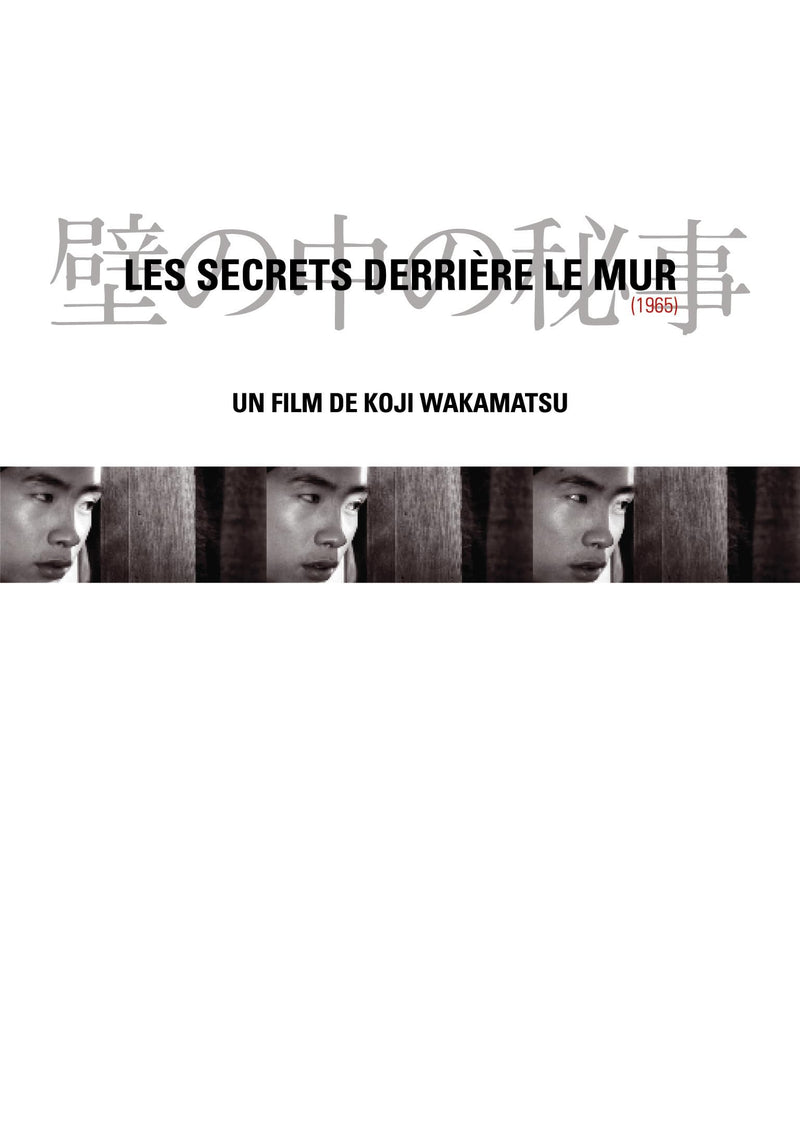 Les Secrets Derriere Le Mur Vo/Slim