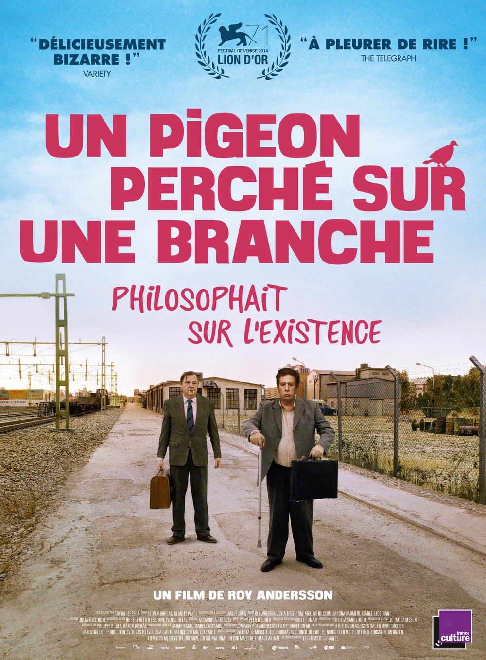Un Pigeon Perche Sur Une Branche/Slim