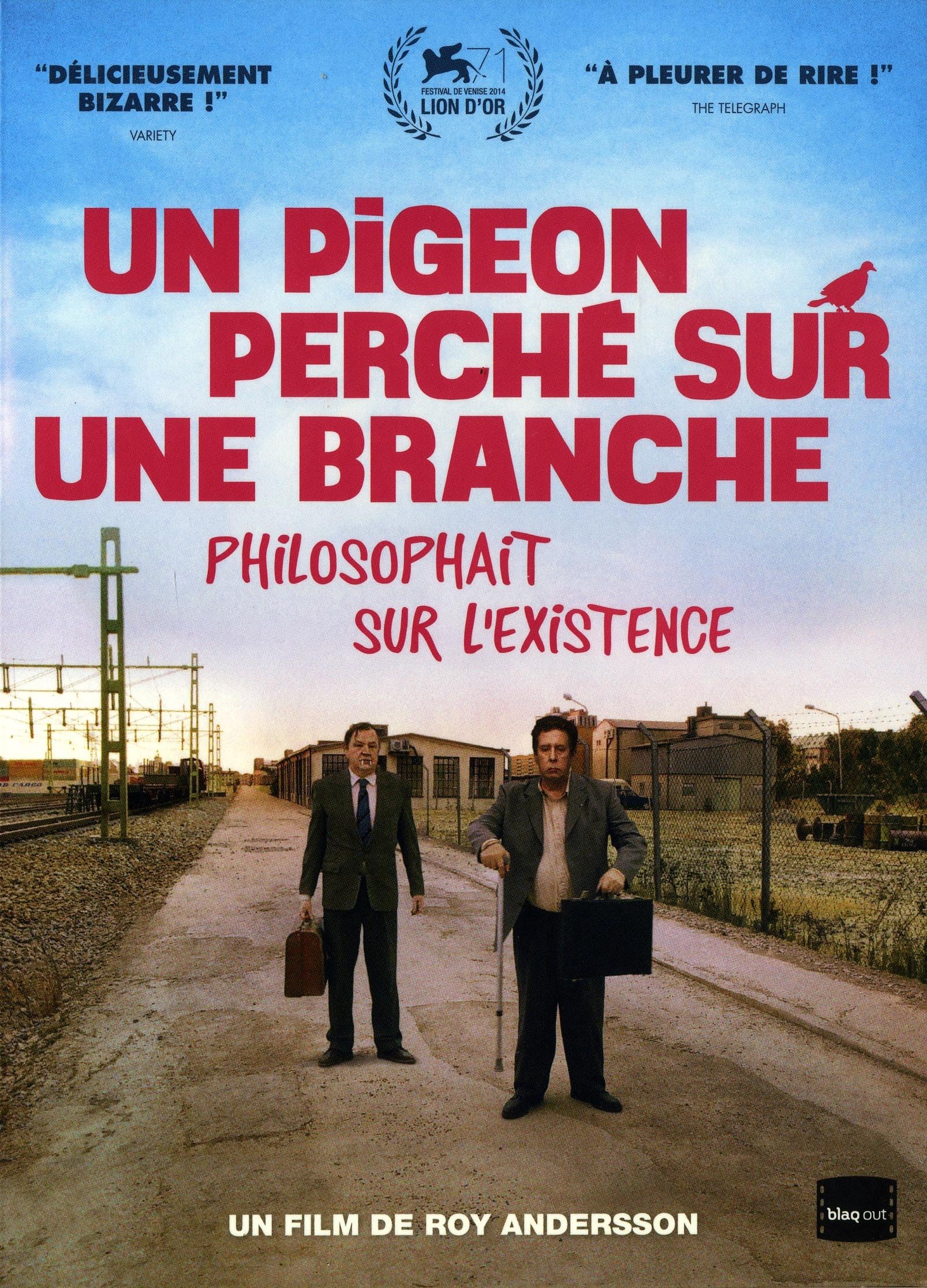 Un Pigeon Perche Sur Une Branche/Slim