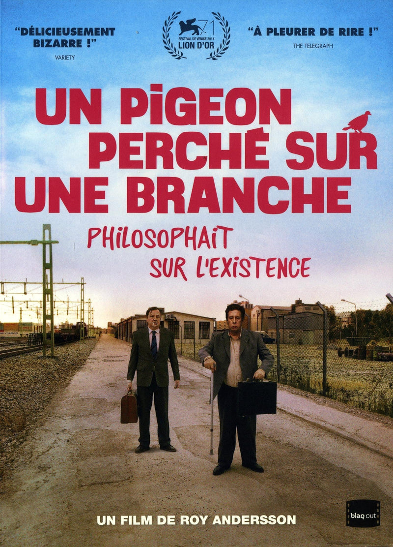 Un Pigeon Perche Sur Une Branche/Slim