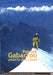 Patrick Gabarrou Pelerin Des Cimes/Slim
