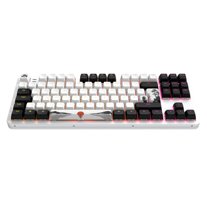 Dark Project ALU87 Fuji II - Mechanisch gamingtoetsenbord met bekabeling | ISO meertalig | Hot-Swap | G3MS Sapphire ingevette schakelaars | Ingevette stabilisatoren | Flexibele pakkingbevestiging |