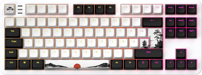 Dark Project ALU87 Fuji II - Mechanisch gamingtoetsenbord met bekabeling | ISO meertalig | Hot-Swap | G3MS Sapphire ingevette schakelaars | Ingevette stabilisatoren | Flexibele pakkingbevestiging |