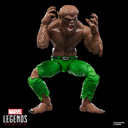 Hasbro Marvel Legends Series - Licantropus, action figure ispirata ai fumetti Marvel