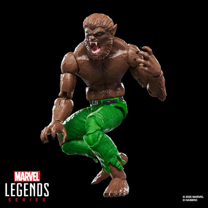 Hasbro Marvel Legends Series - Licantropus, action figure ispirata ai fumetti Marvel