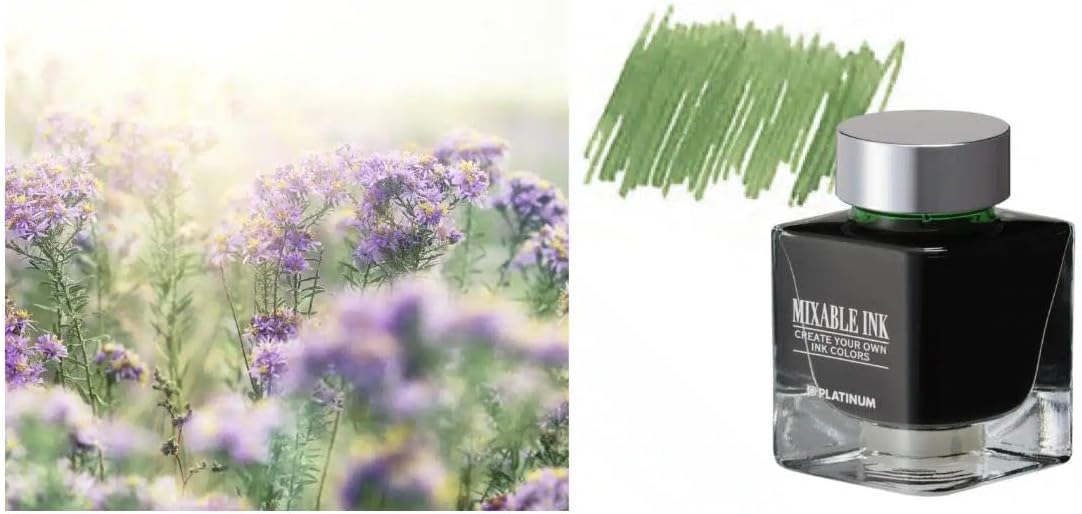 Platinum Fountain Pen #3776 Century PNB-38000 #83 My Favorite Things Misty Bloom 14K (Fine Point F)
