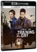 Training Day (4K+Br)