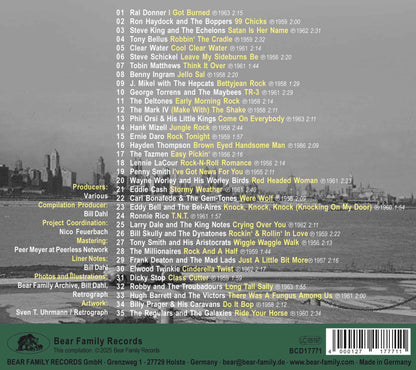 Chicago Rocks, Vol. 1: Windy City Rock and Roll