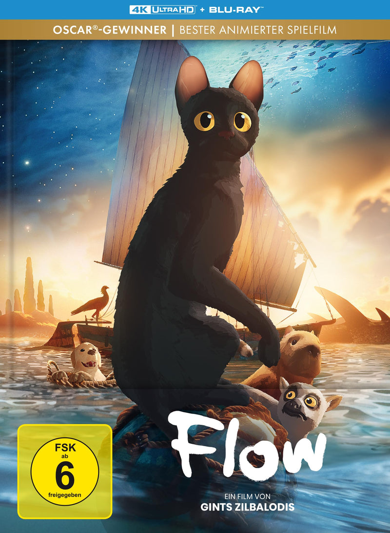 ZILBALODIS, GINTS - FLOW - LIMITIERTES MEDIABOOK