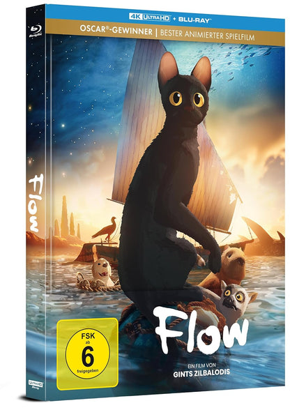 ZILBALODIS, GINTS - FLOW - LIMITIERTES MEDIABOOK