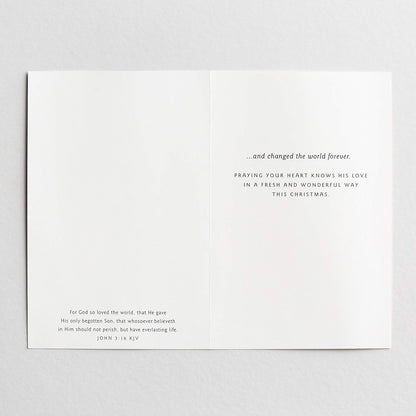 DaySpring KJV Weihnachtskarten mit Aufschrift"Love Came Down One Night", 50 Stück