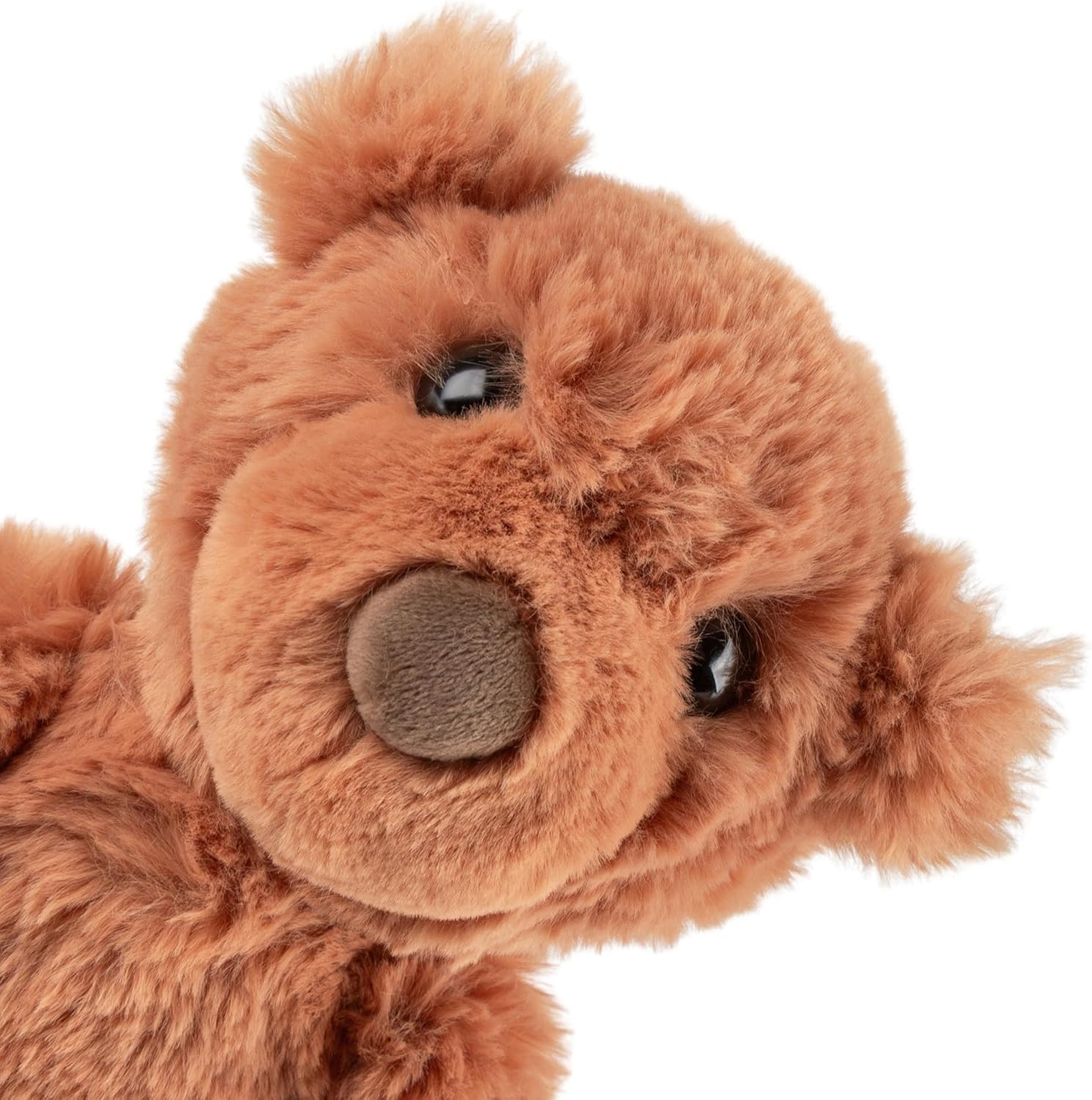 Knuffel - Beer
