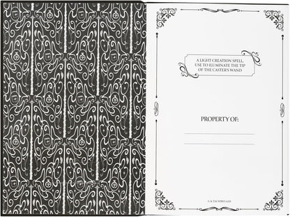 Harry Potter Lumos Maxima Premium A5 Notebook With