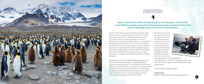 Penguin Palooza: A Fun, Photo-filled Picture Book Celebration of All Things Penguin!