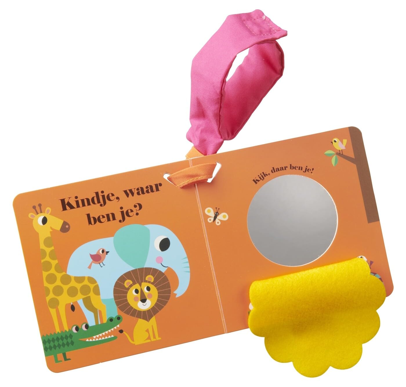 Leeuw, waar ben je? buggyboekje
