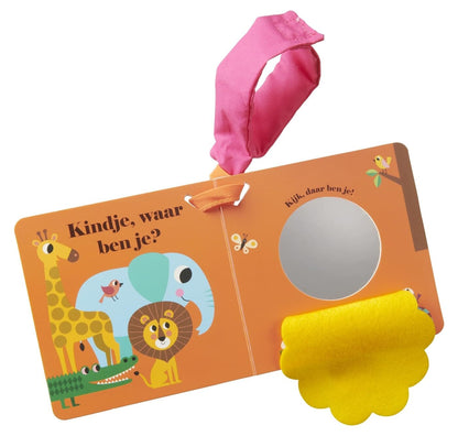 Leeuw, waar ben je? buggyboekje
