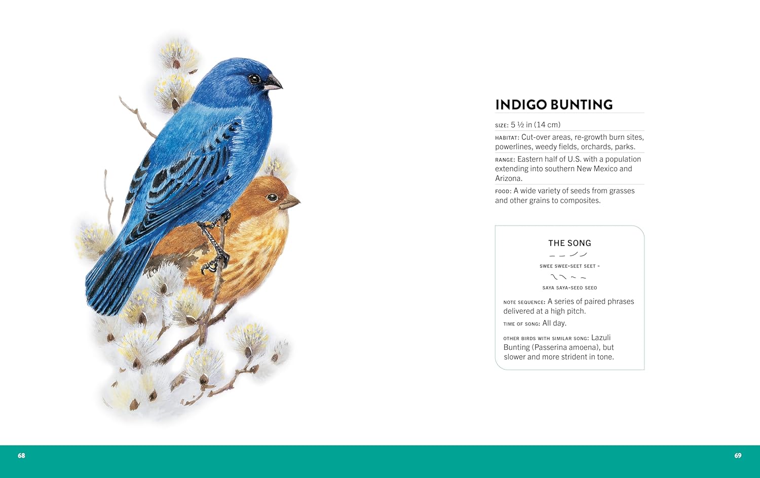 The Visual Directory of Birds of North America