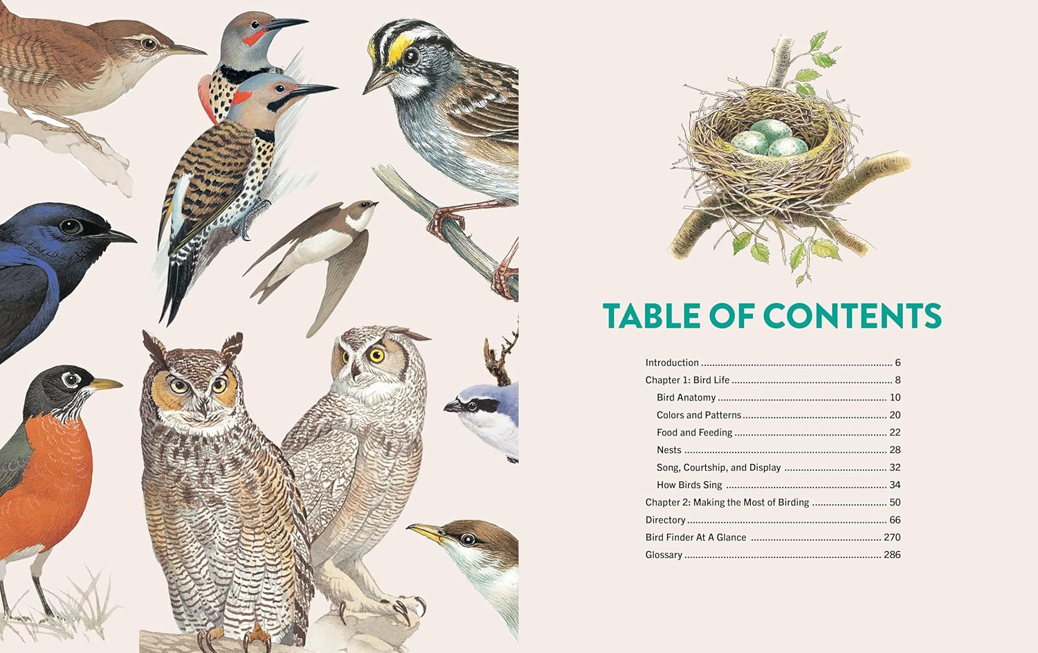 The Visual Directory of Birds of North America