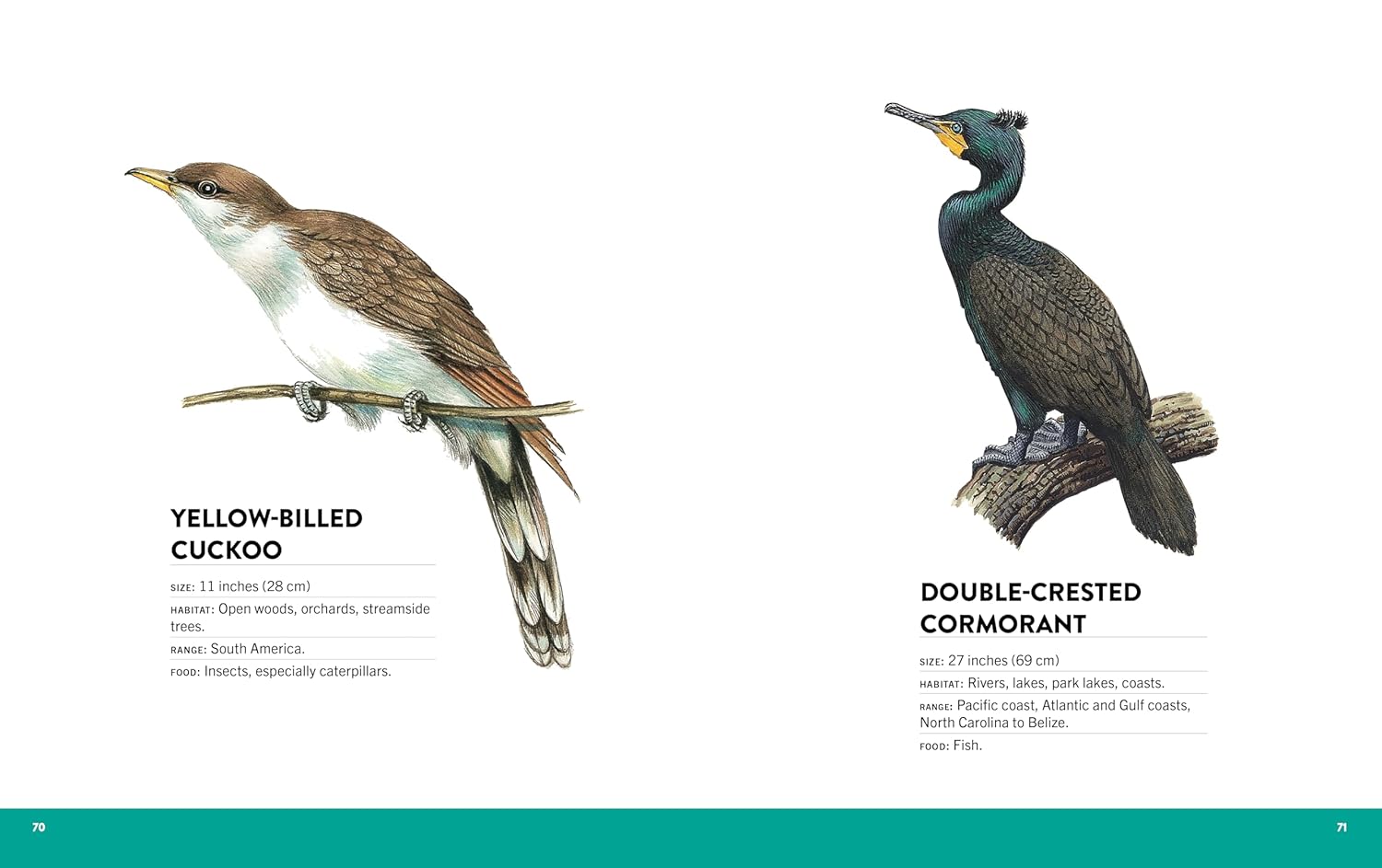 The Visual Directory of Birds of North America