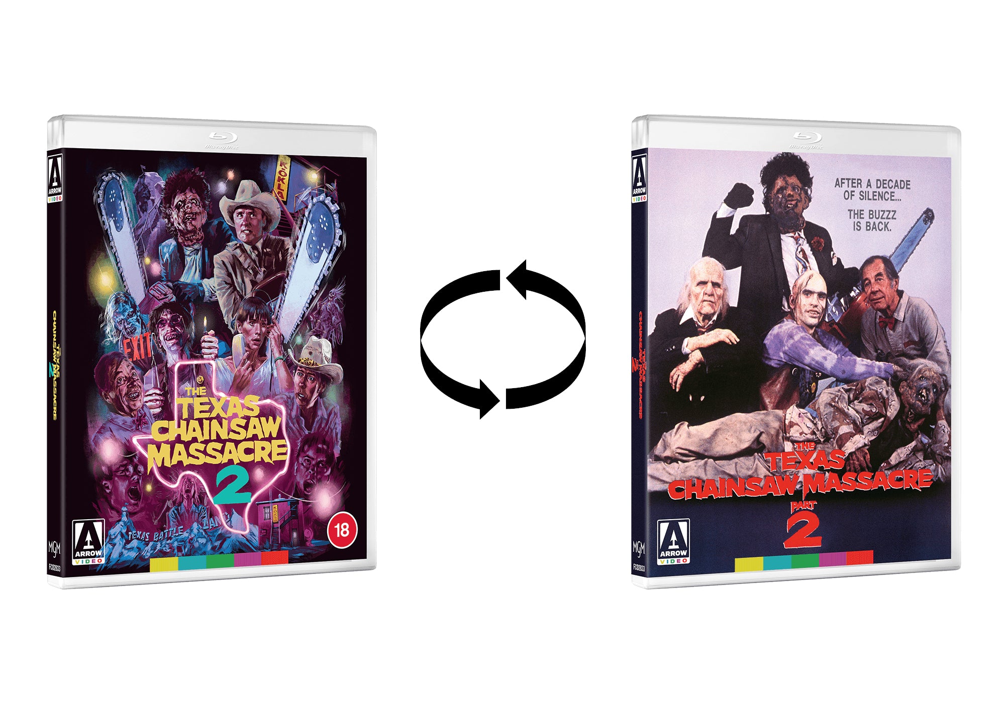 The Texas Chainsaw Massacre 2