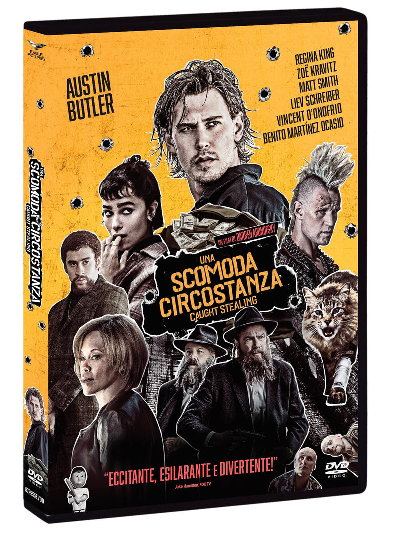 Una Scomoda Circostanza: Caught Stealing - Dvd