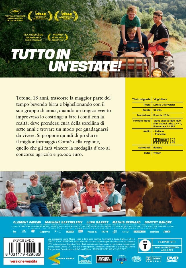 Dvd Tutto In Un'Estate!