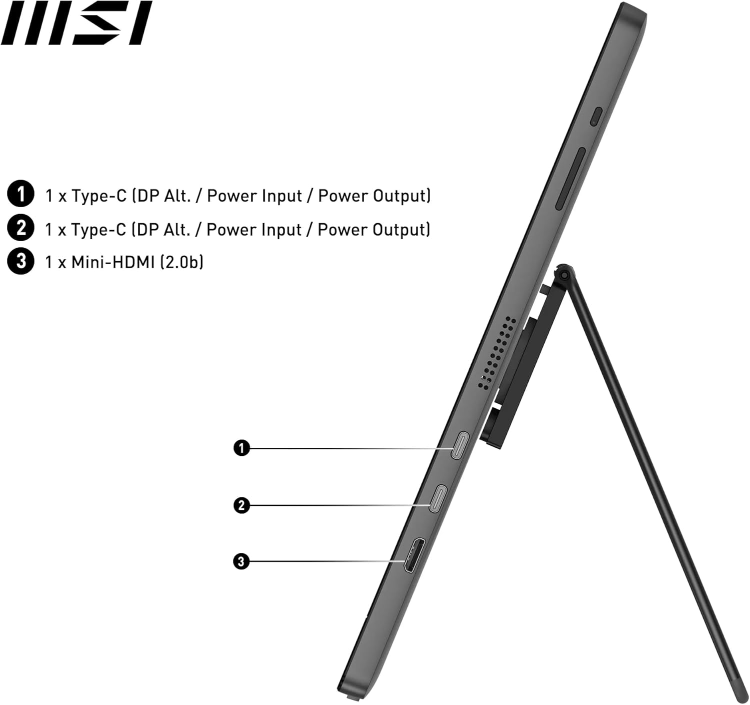 Msi Pro Mp161 E2 - Lcd Monitor - 16`` (15.6`` Viewable) - Portable - 1920 X 1080 Full Hd (1080P) @ 60 Hz - Ips - 250 Cd/MÝ