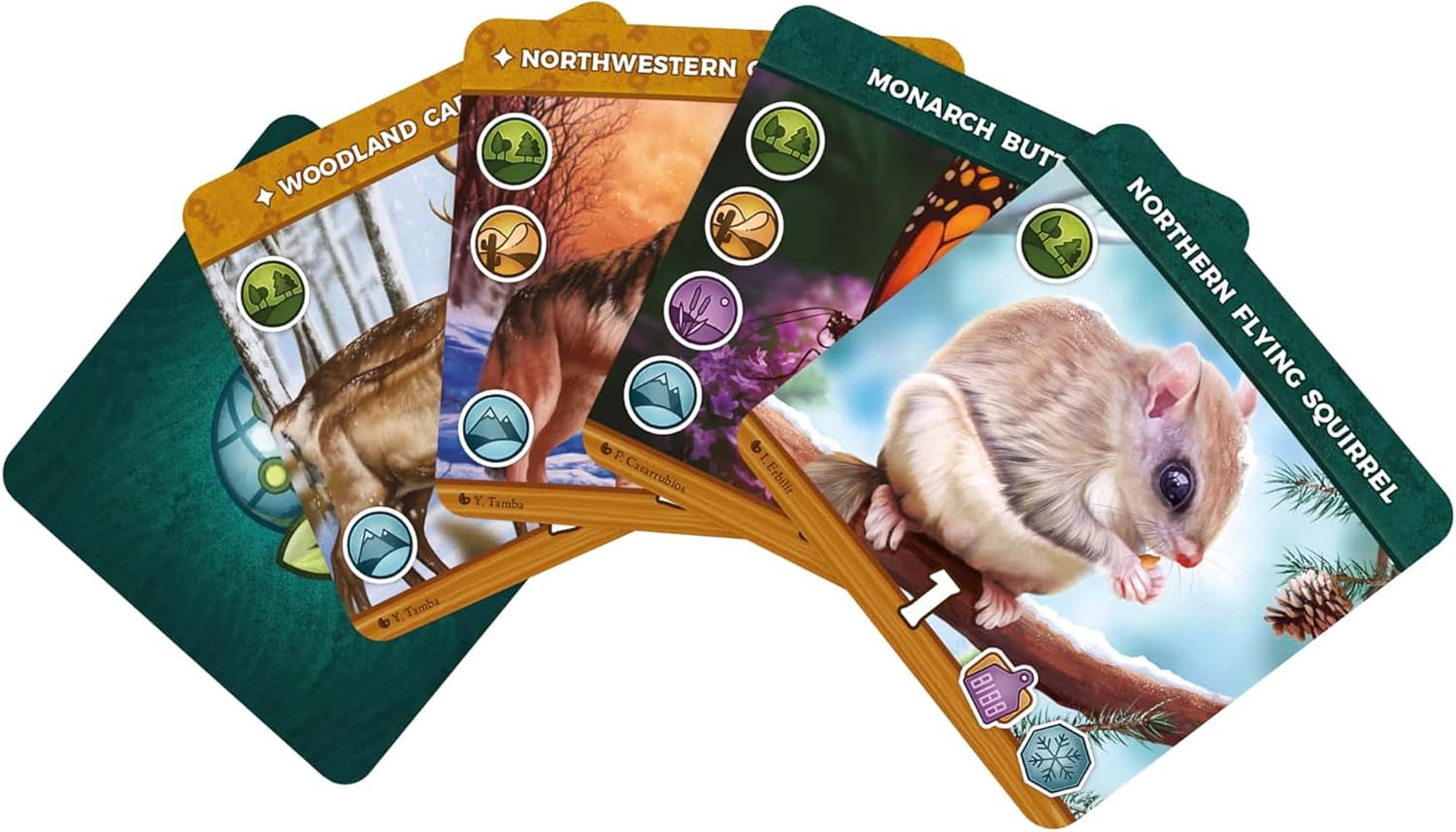 Keystone North America 2nd Edition Board Game for Educational Strategy, Animals and Ecosystems, Ages 10+, 1-2 Players