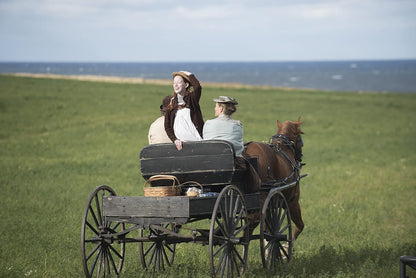 Anne with an "e", saison 2