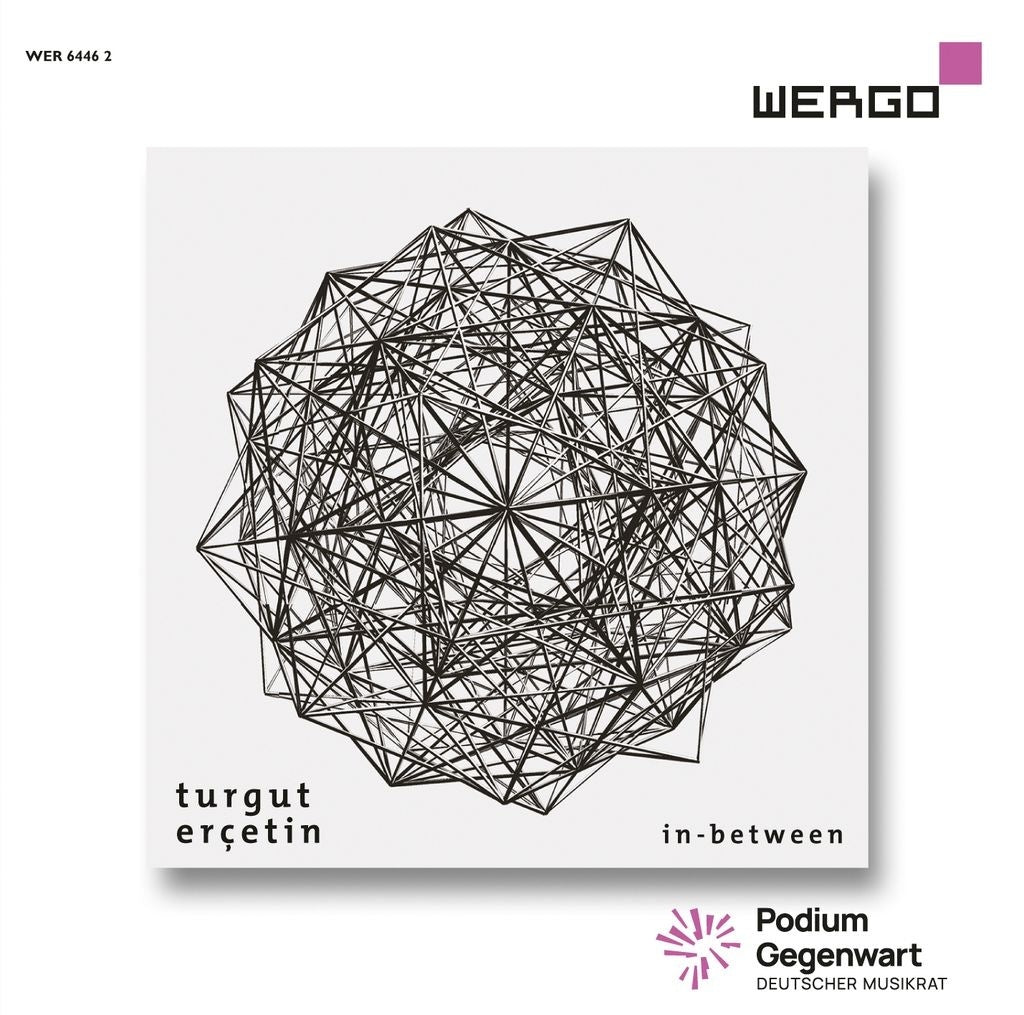Turgut Erçetin: In-between