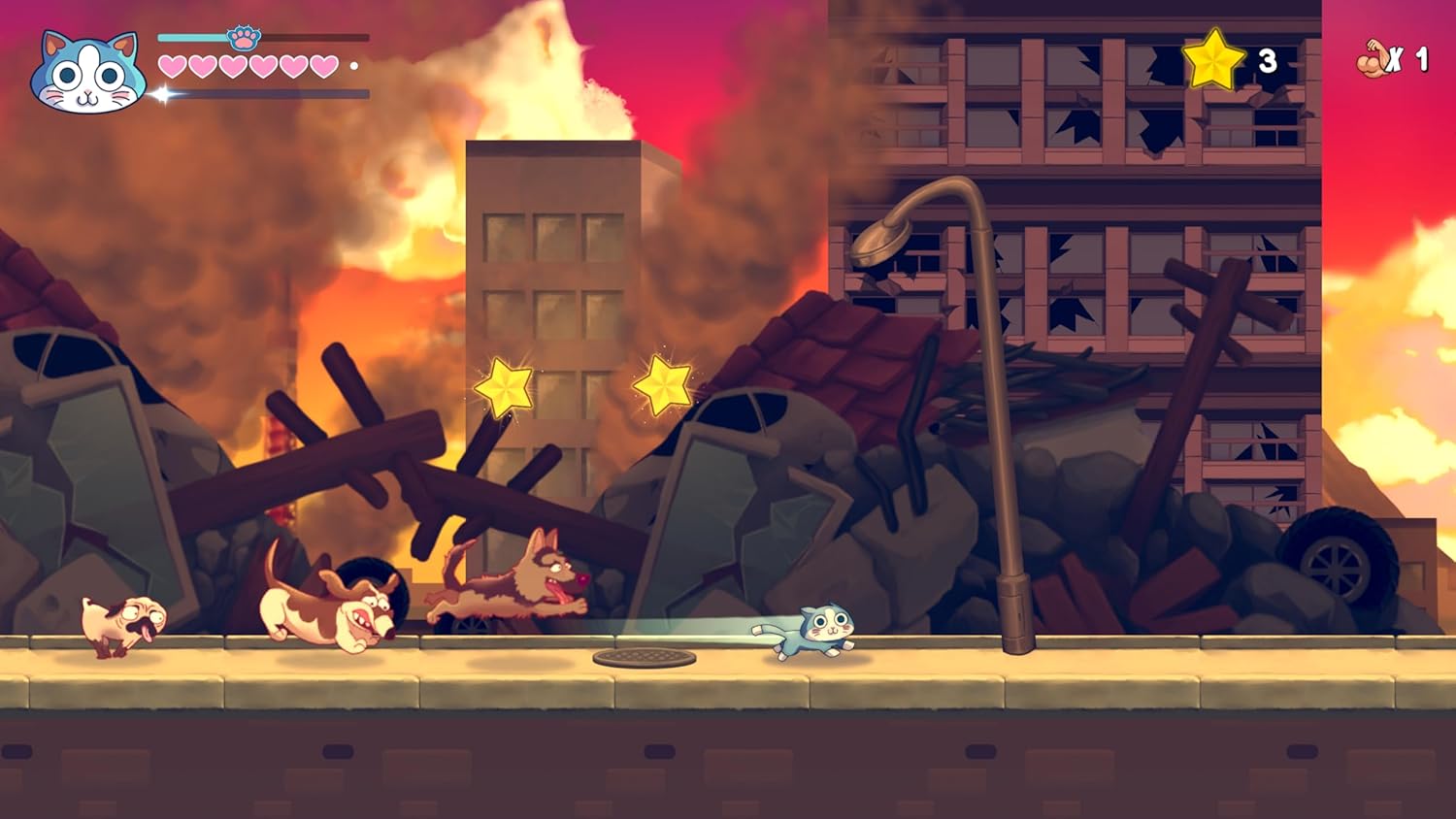 KinnikuNeko SUPER MUSCLE CAT Purrrrfect Edition (PS5