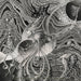 Nefarious Scintillations