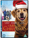 A Magic Christmas