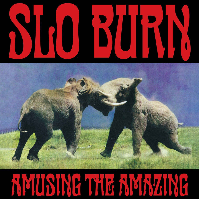 Amusing the Amazing (RSD Black Friday 2025)