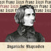 Ungarische Rhapsodien