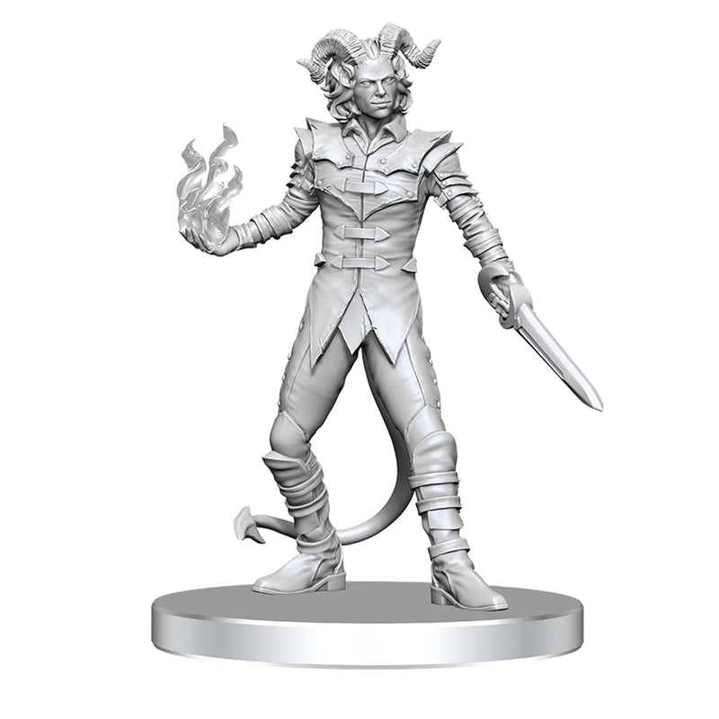 WizKids Pathfinder Battles Deep Cuts: Vordine (Infantry Devil) & Pitborn Rogue | Unpainted Miniature Figure