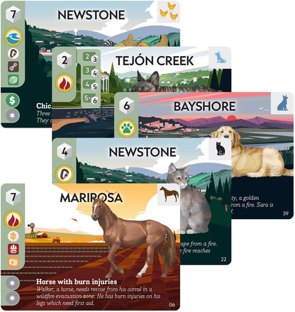 Animal Rescue Team by Play to Z | Ages 8+ | 2-4 Players | 45 Minute Playing Time