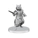 WizKids Pathfinder Battles Deep Cuts: Procyal (Raccoon Agathion) & Zoaem (Ring Archon) | Unpainted Miniature Figure