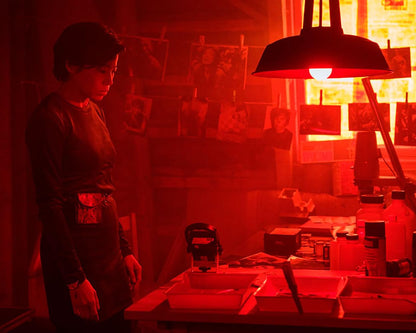 Nord bei Nordwest, Vol. 13 / Zwei Spielfilmfolgen der erfolgreichen Küstenkrimi-Reihe