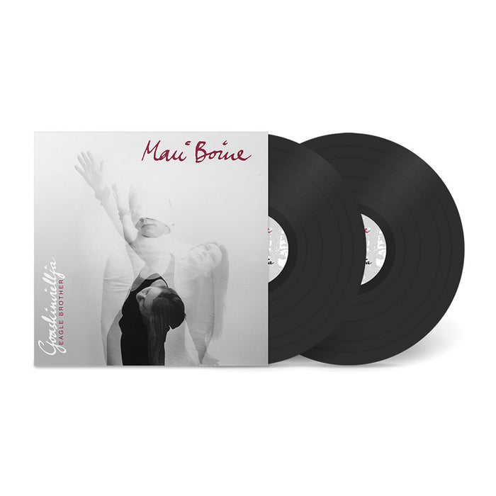 Goaskinviellja (Eagle Brother)