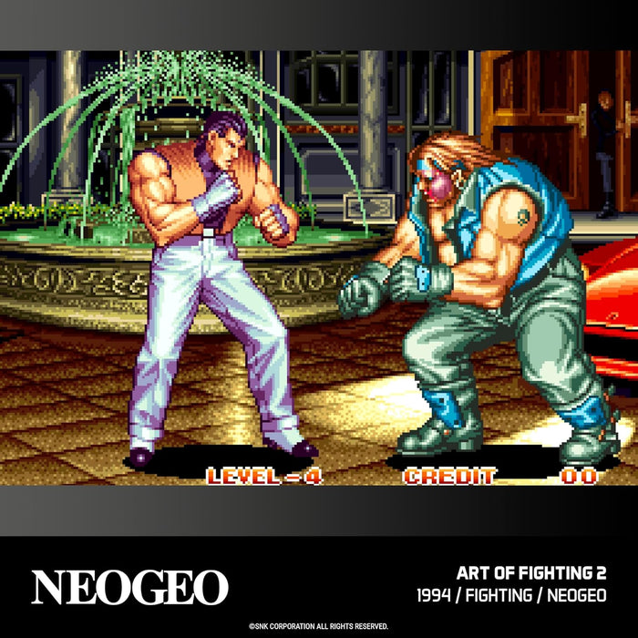 NEOGEO Arcade Collection 2 - Cartridge - Evercade