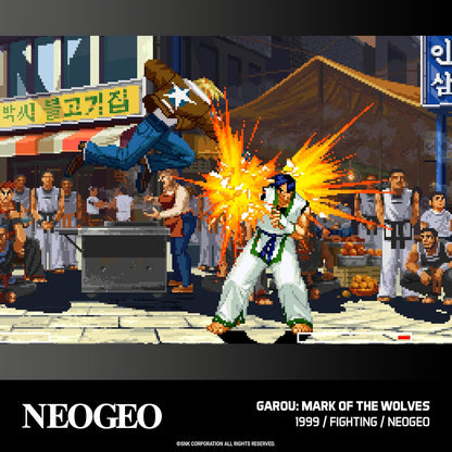NEOGEO Arcade Collection 2 - Cartridge - Evercade