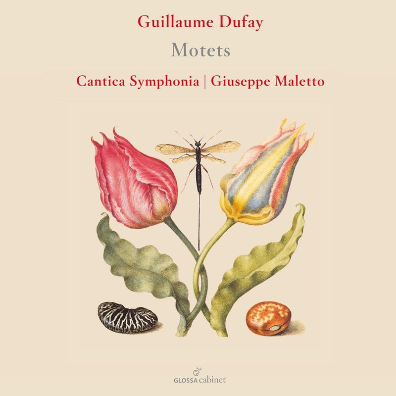 Guillaume Dufay: Motets