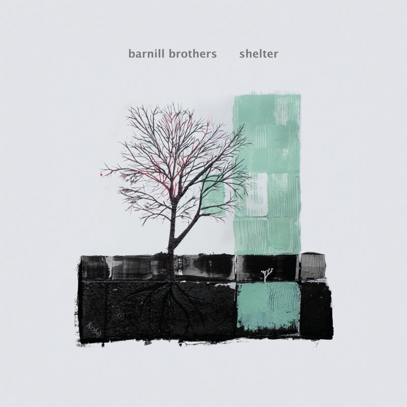 Shelter