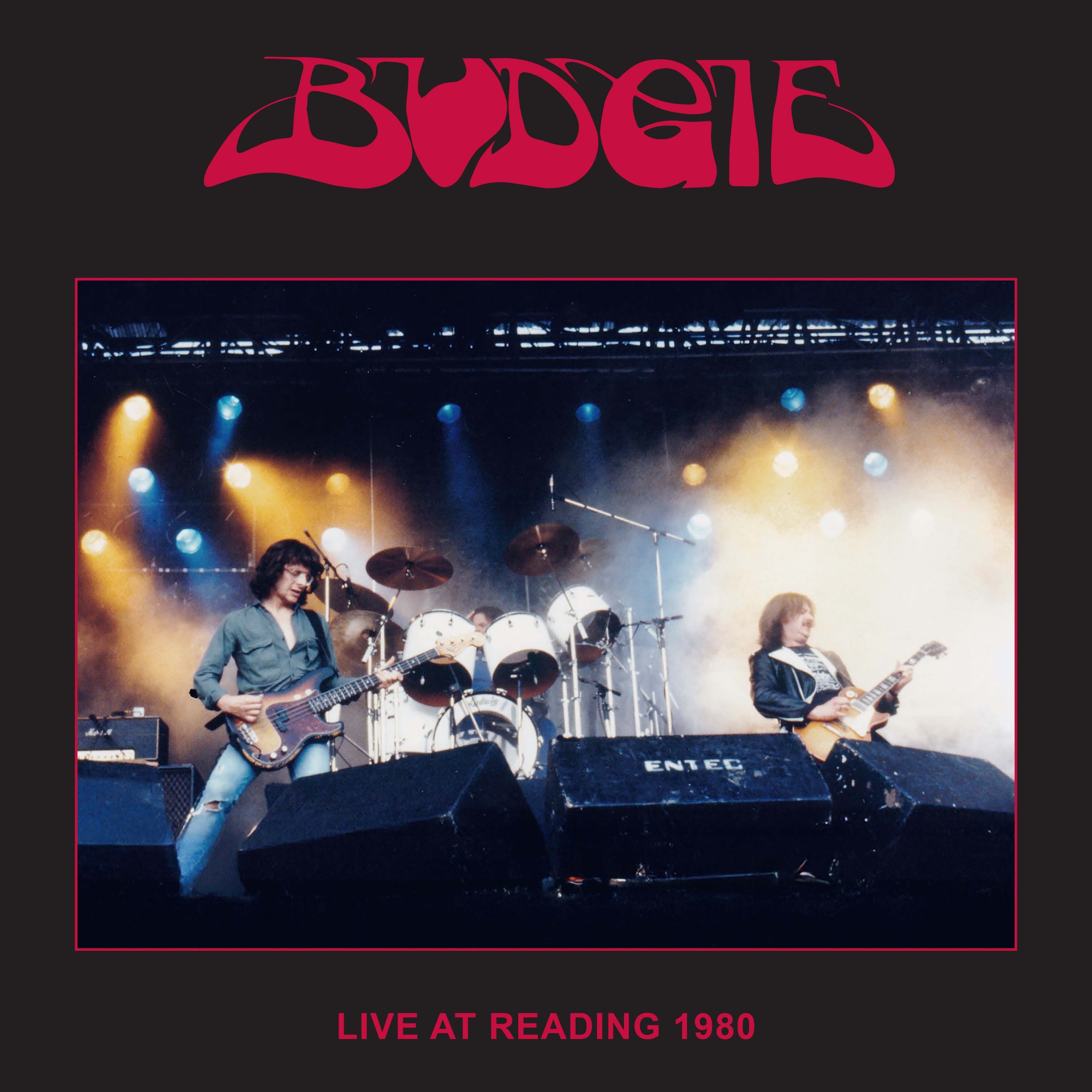 Live at Reading 1980