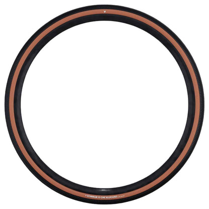 Schwalbe G-One Allround Perf, Race Guard, TLR, 40-622 B/BRZ-SK, HS473 ADDIX 67EPI